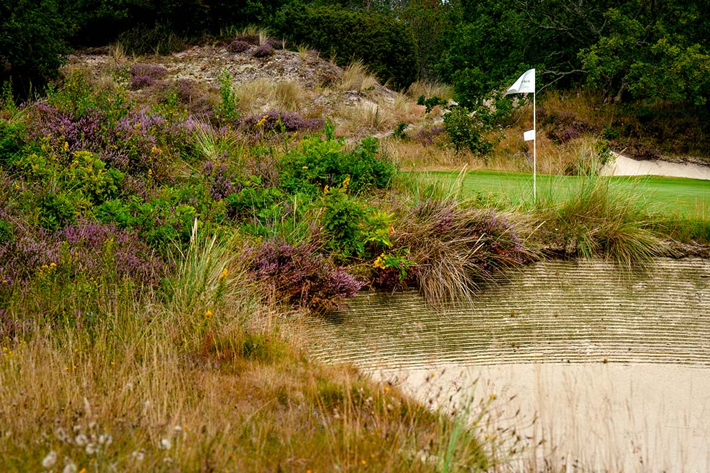 Hvide Klit potbunker golf