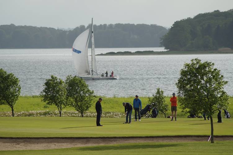 lillebælt golfklub